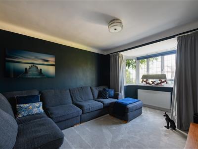Picture 5